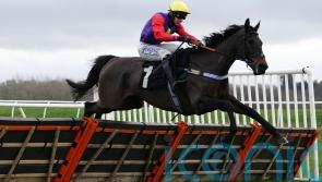Dashel Drasher team lodge Stayers&rsquo; Hurdle appeal