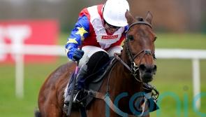 Williams looking to Moviddy to make Grade Two leap at Newbury