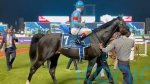 Meydan magic from Equinox in Sheema Classic