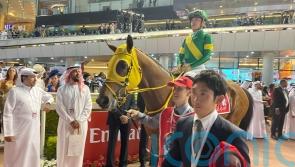 Ushba Tesoro rules the world for Japan