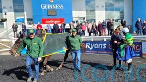 Thedevilscoachman advertises Irish National claims at Limerick