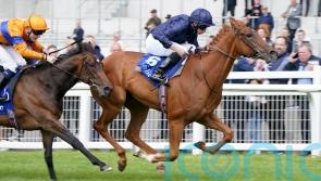 Leading fancy Statuette set to miss Guineas, reveals O&rsquo;Brien