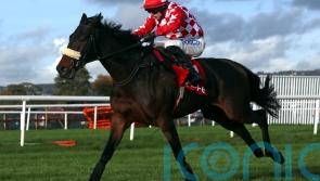 Lifetime Ambition of National victory edging closer for Harrington