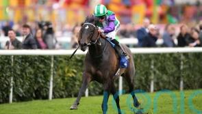 Vadream dominates Cammidge Trophy rivals