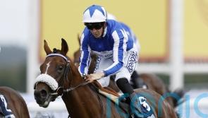 The Foxes pencilled in for Craven Stakes return