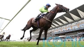 Subjectivist taking direct path to Ascot Gold Cup