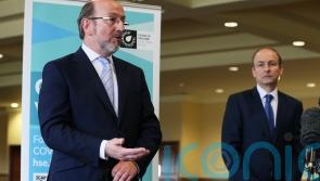 Tanaiste appoints chair of new oversight body for Defence Forces