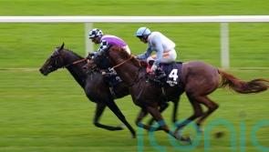 Philippart De Foy has plenty to look forward to with El Habeeb