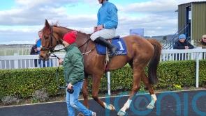 Fencing plans for Corbetts Cross next season after Festival exit