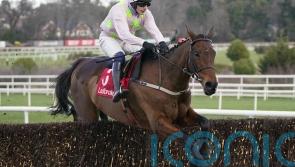 Chacun Pour Soi and Bachasson in Cork showdown