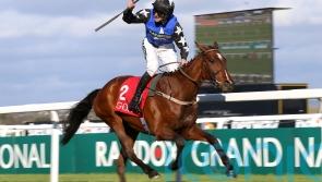 Ashroe Diamond leads eight-strong team for Willie Mullins at Fairyhouse