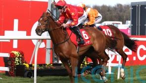 Wise Eagle gives Adam Nicol a Saturday winner to savour