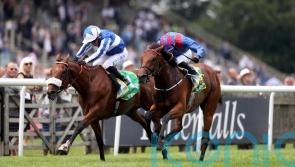 Haggas raises Australian satellite yard idea, as Dubai Honour wins again