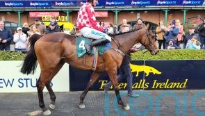 Flame Bearer digs deep for Fairyhouse Gold