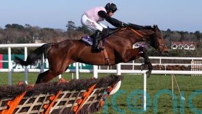 French Dynamite hunting Grade Two honours for Morris