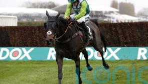 Paul Nicholls&rsquo; star chaser Clan Des Obeaux is retired