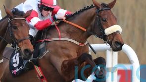 Peter Fahey confident The Big Dog has big National chance