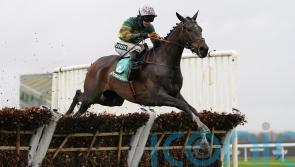 Inthepocket collects Top Novices&rsquo; prize for De Bromhead and Blackmore