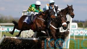 Liverpool repeat for super Sire Du Berlais