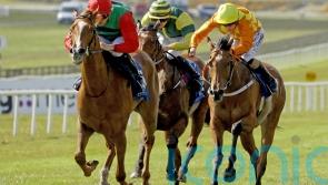 Goldana sparkles on first start for Joseph O&rsquo;Brien