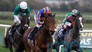 Paddington more likely to represent O&rsquo;Brien in Craven than Cairo
