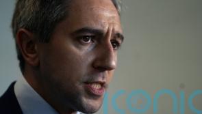 Justice minister pledges support to Garda efforts to tackle gangland crime