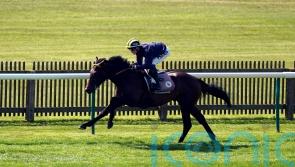 Guineas hope Sakheer sparkles in Newmarket spin