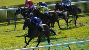 Silver Lady proves a big hit at Newmarket