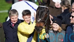 Cheltenham hero Marine skips Punchestown date