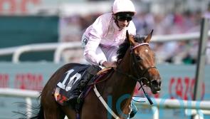 Murphy pencilled in for Polly Pott Guineas ride