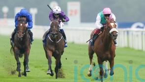 Chaldean none the worse for Newbury and on course for Newmarket