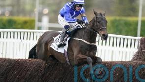 Energumene looking to double up at Punchestown