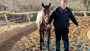 Hanlon set for late call on ground for Hewick at Punchestown