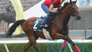 Marquand relishing Hong Kong challenge with Dubai Honour