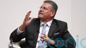 Framework will ensure NI consumers get same goods as rest of UK, says EU chief