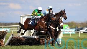 Sire Du Berlais and Teahupoo give Elliott strong Stayers hand