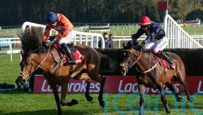 Nicholls so proud of Bravemansgame &ndash; and says more to come yet