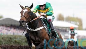 Jonbon following Altior route in chasing Sandown glory