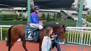 Dubai Honour third as Warrior steals show in QEII