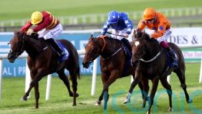 Gavin Cromwell sets sights on Nottingham with Sunset Shiraz