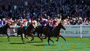 Bradsell returns in cracking Commonwealth Cup Trial