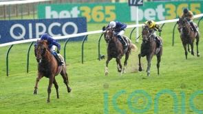 Hurricane Lane storms back to winning ways