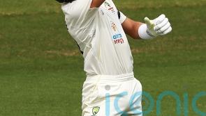 Marnus Labuschagne sparkling for Glamorgan after finding fluency at crease