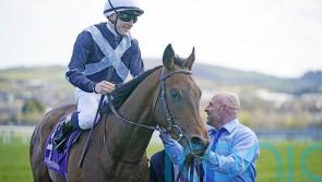 Tattersalls Gold Cup the target for Piz Badile