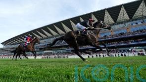 Claymore primed for Brigadier Gerard return