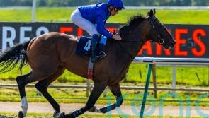 Military Order marches to Epsom with stylish Lingfield win