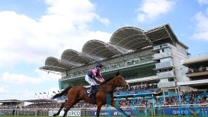 Pretty Polly a possible pick for Via Sistina