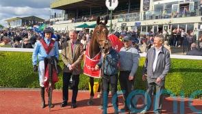 Pont Aval highlights Killarney treble for Willie Mullins