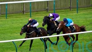 Tate eyeing Royal Ascot for juvenile pair