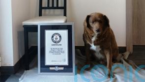 World&rsquo;s oldest dog celebrates birthday